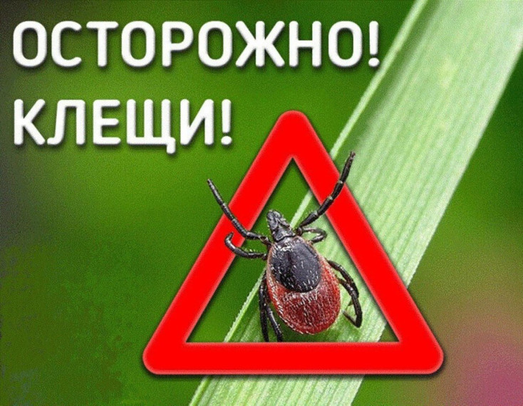 "Горячая линия" Роспотребнадзора по вопросам профилактики клещевого энцефалита.